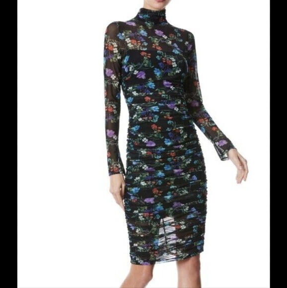 Alice And Olivia Delora With Tags - Picture 1 of 10